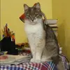 Отзыв от Анастасия Кулакова